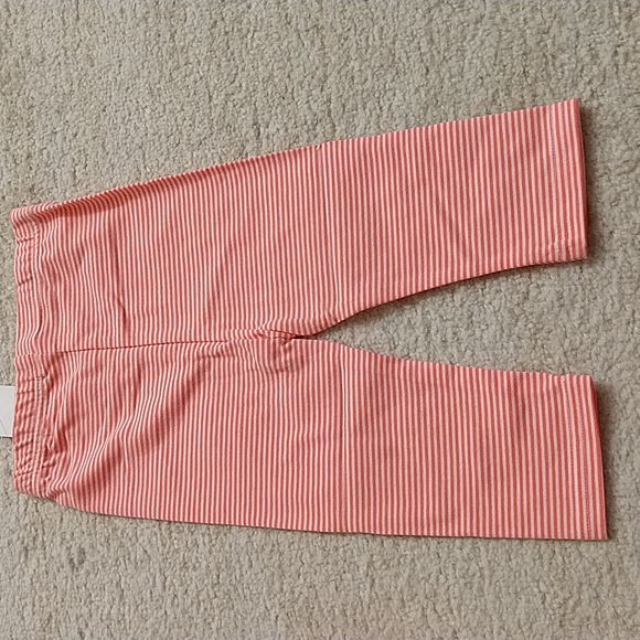 3/$33 NWT 2-pc Sweet Heart Rose Tunic and Capri Leggings 24M - Picture 10 of 10